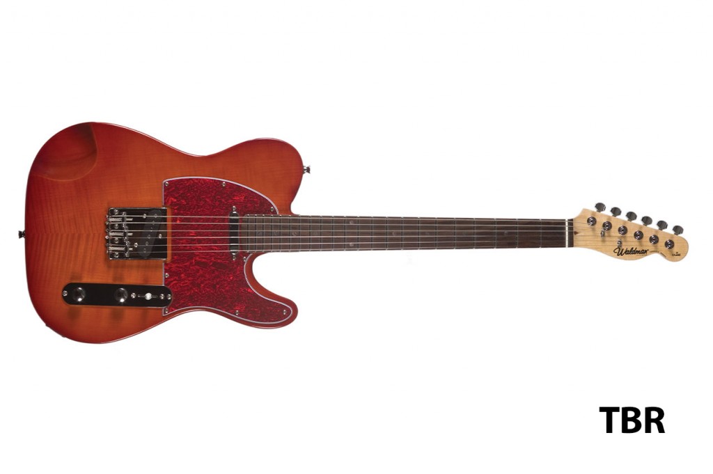 Waldman - Guitarra Sólida Terrific Mega Flamish GTE_750F